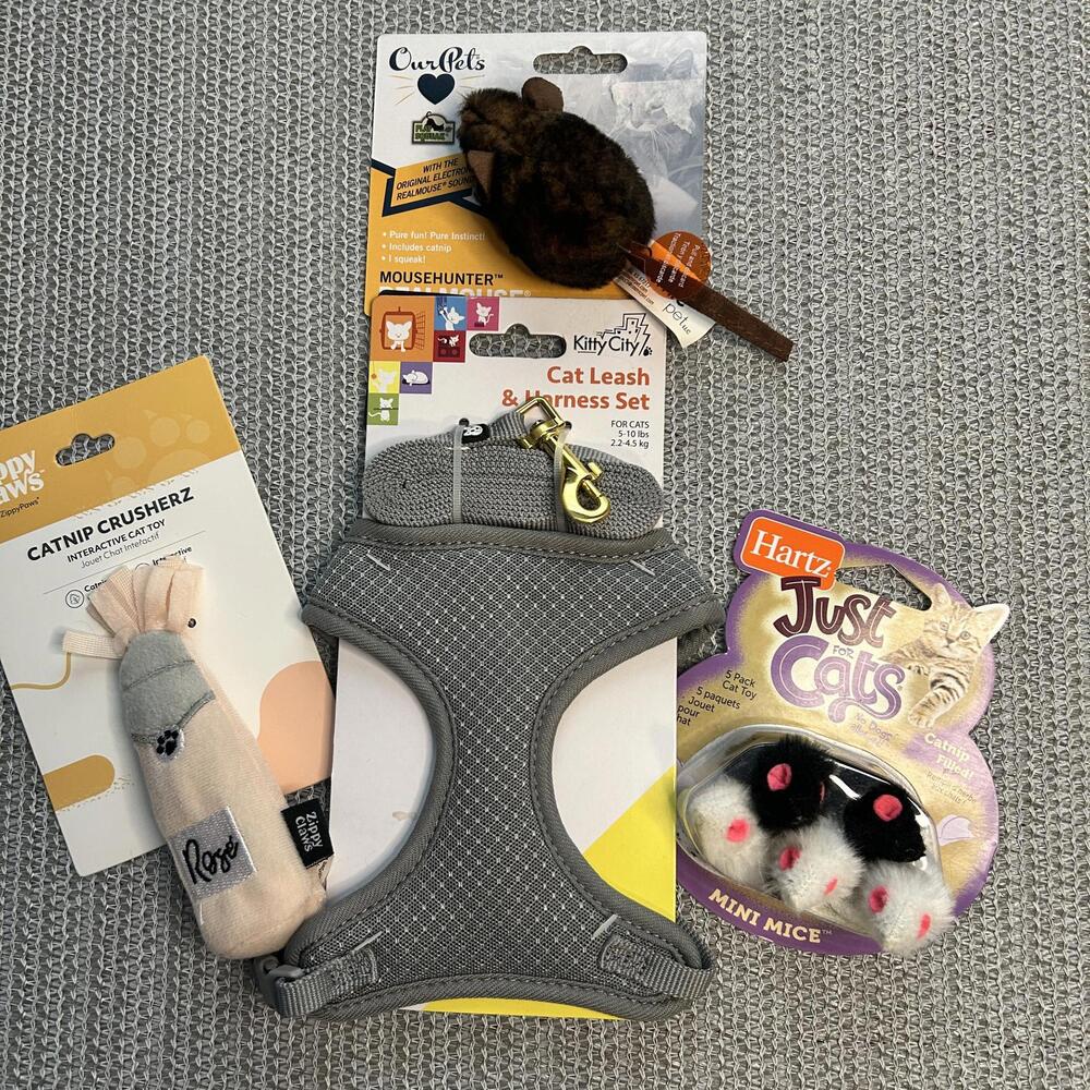 Cat Accessory & Toy Bundle – Leash, Mice, Catnip